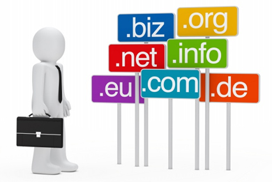 Domain Web Anda